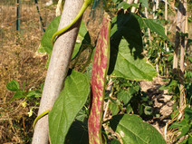 20200913_105127.jpg