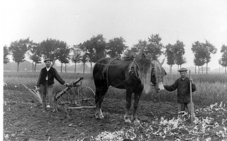 Travaux-des-champs-vers-1930.jpg