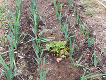 20200903_095507.jpg
