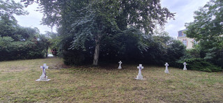 20250724_181120.jpg