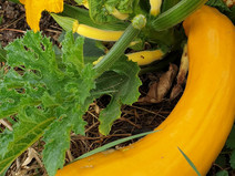 20200903_094914.jpg